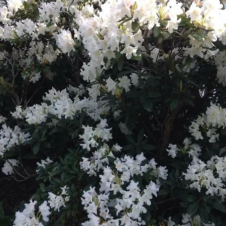 Habitación en casa particular Arrive & Relax - Volkmar