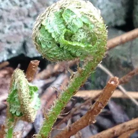 בית אירוח Arrive & Relax - Volkmar