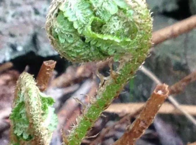 Habitación en casa particular Arrive & Relax - Volkmar