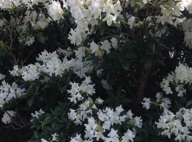 民宿 Arrive & Relax - Volkmar