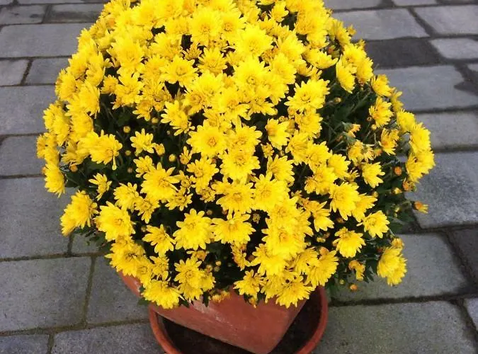 홈스테이 Arrive & Relax - Volkmar 뒤셀도르프